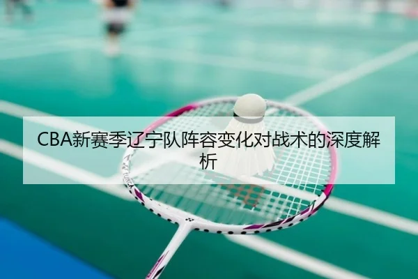CBA新赛季辽宁队阵容变化对战术的深度解析